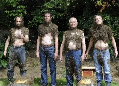 Trouvez cette expression, bien en rapport avec la photo !