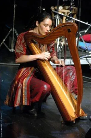 Quel est cet instrument, utilis surtout pour le folklore breton ou irlandais ?