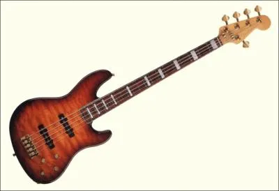 Quel est cet instrument, base harmonique d'un groupe de rock ?