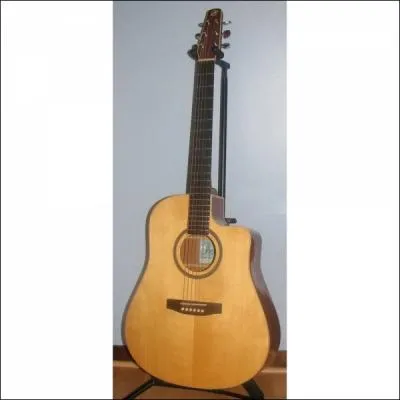 Quel est le nom de cet instrument, cousin du prcdent ?