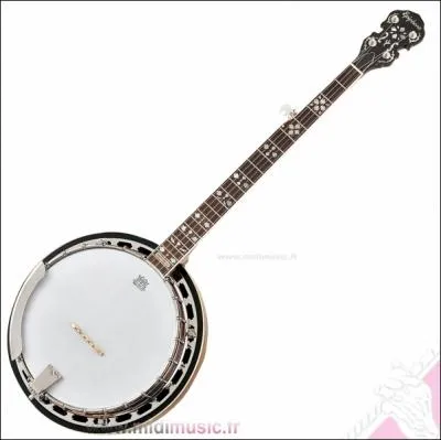 Comment s'appelle cet instrument de cowboy ?