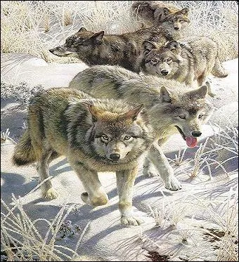  quel auteur Francis Bacon a-t-il emprunt une phrase devenue clbre :  Homo homini lupus  ? L'homme est un loup pour l'homme.