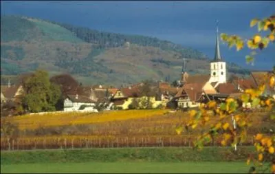 Situ dans le dpartement du Bas-Rhin, au pied du mont Sainte-Odile, encercl par le vignoble, mes maisons offrent de remarquables faades , je suis :