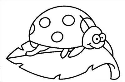 Que mange la coccinelle ?