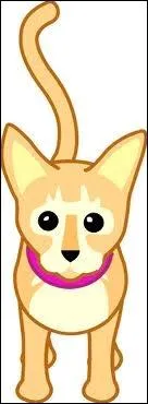 Comment se nomme cette chose toute mignone ?