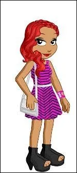 Comment s'appelle cette robe ?