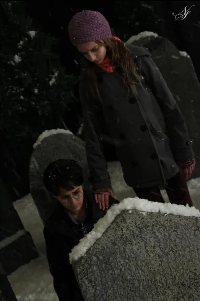 Dans la parodie de Harry Potter, compltez les paroles :  My parents, my parents die ! My parents, my parents why ? ...