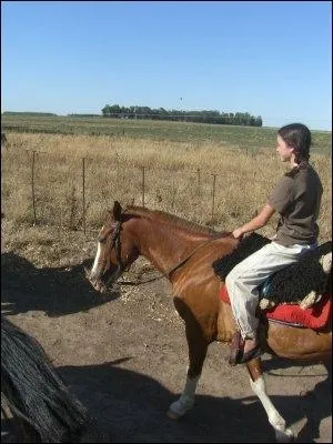 Cette cavalire est-elle bien quipe ?