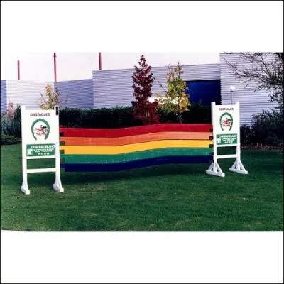 Un arc-en-ciel  sauter : D