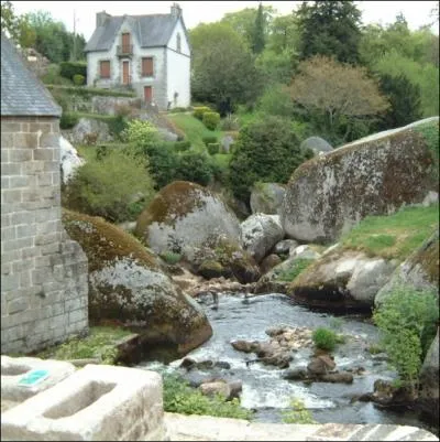 Ses frondaisons abritent le sanctuaire des lgendes bretonnes... . .