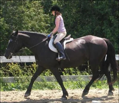 Quelle est l'aide naturelle ?