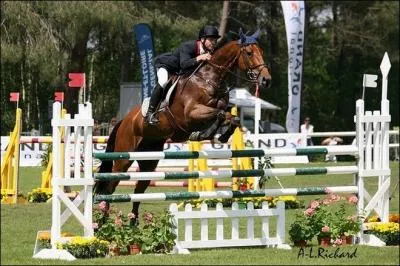 Quelle est cette discipline ?