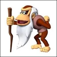 Celui-ci est le plus vieux reprsentant de la famille et le pre de Donkey Kong.