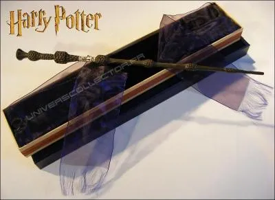  qui appartient cette baguette ?