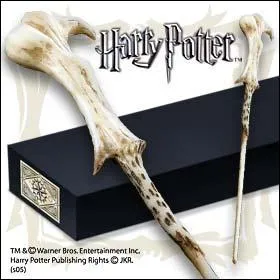  qui est cette baguette ?