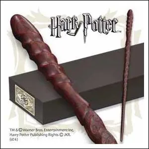  qui appartient cette baguette ?