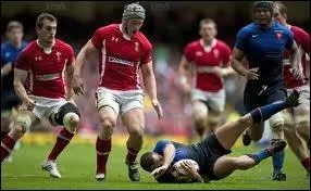 Le Pays de Galles remporta le Tournoi des 5 Nations et ralise le Grand Chelem.