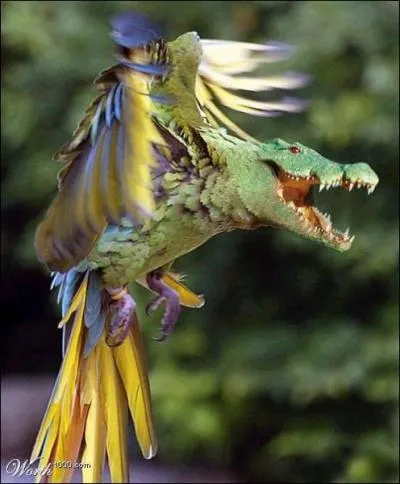 Quels sont les animaux qui composent cette image ?