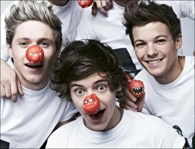 Pourquoi portent-ils des nez rouges ?