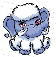 Comment s'appelle son animal de compagnie ?