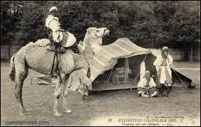 Quelle fut la date de l'Exposition coloniale de Paris ?