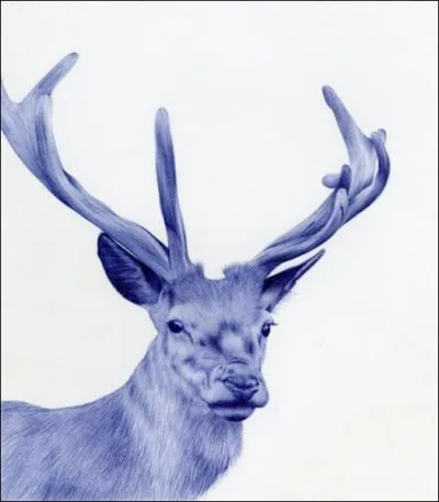 Vous pouvez l'admirer en Europe, entre autres, c'est le cerf !