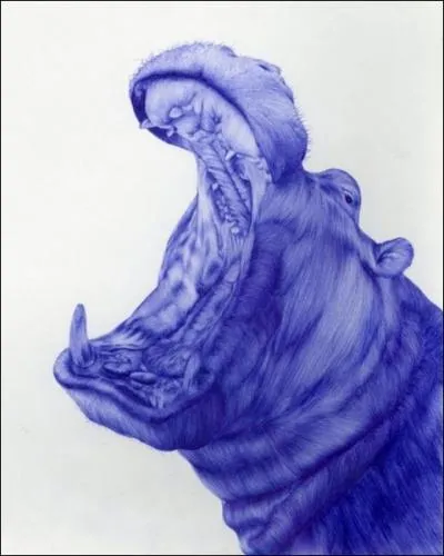 On le trouve en Amrique, c'est l'hippopotame !