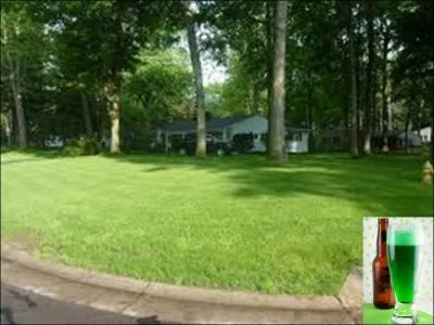 Dans certaines rgions de France, ce cocktail porte le nom d'un gazon rgulirement tondu. C'est la :