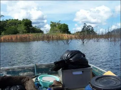 Dans ce pays d'Amrique du Sud, le Suriname, la langue officielle est ...