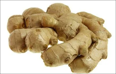 Quel pays est le plus gros producteur de gingembre ?