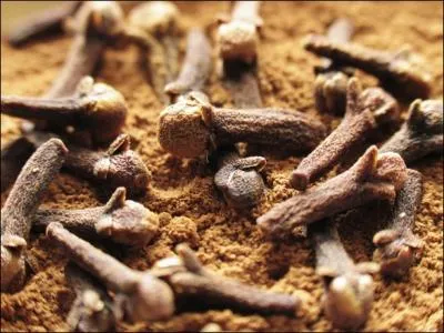 Quand le clou de girofle fit-il son apparition en Europe ?