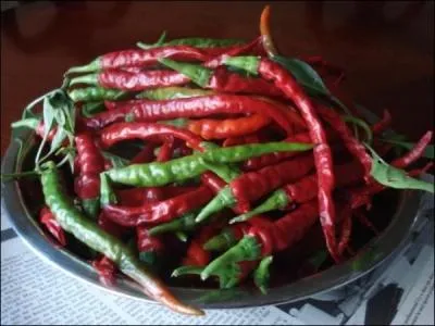 Le piment de Cayenne est aussi appel :