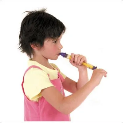 Quel est le nom de cette flte, munie d'un accessoire souvent rserv au trombone ?