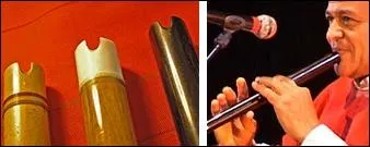 Quel est le nom de cette flte andine ?