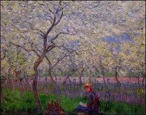 Un verger au printemps.