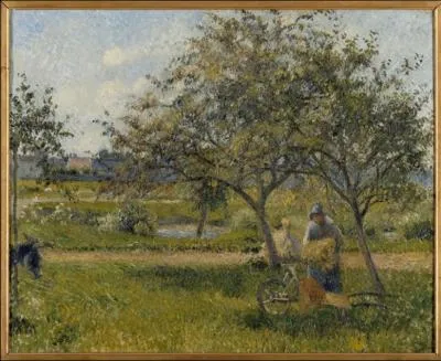 La brouette, verger.