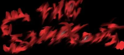 A quelle marque appartient ce logo ?