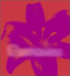 A quelle marque appartient ce logo ?