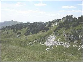 La chane du Jura s'tale sur la France, la Suisse et l'Allemagne. Son plus haut sommet est situ en France dans le dpartement de l'Ain. Quel est son nom ?