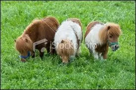 Trop simple c'est...