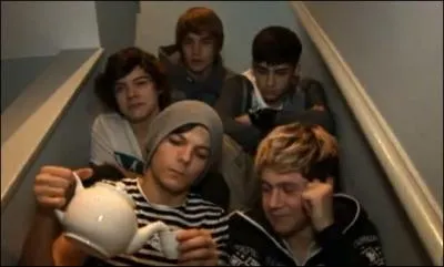 Dans les  Video Diaries , qui voudrait avoir le pouvoir de rester toujours jeune ?