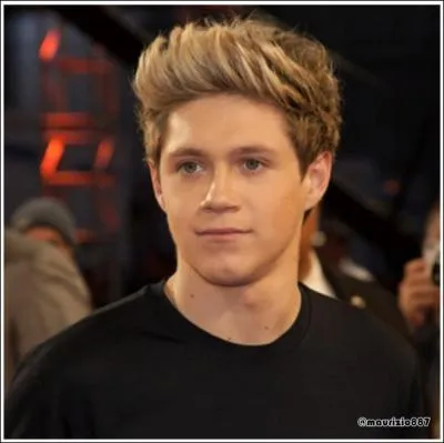 Quel cadeau Niall Horan a-t-il offert  sa mre ?