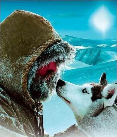 Dans quelle chaine de montagnes se situe l'action du film  Le Dernier Trappeur  de Nicolas Vanier ?