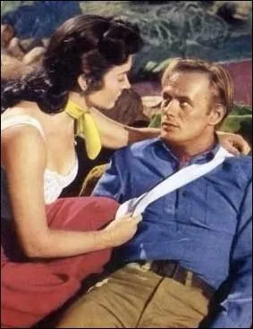 De quel genre est le film  Coup de fouet en retour  avec Richard Widmark et Donna Reed ?