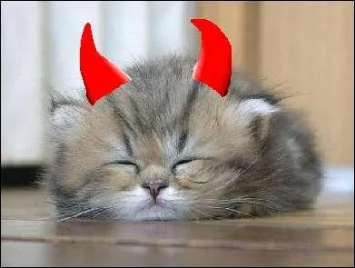 Comment s'appelle l'argent dans ce jeu ?