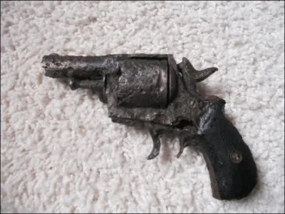 Elle s'est (... ... . )  me dmonter un vieux rvolver et s'est (... ... . . ) compte de mon intrt pour tout cela.