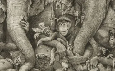 Quiz Culture générale