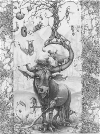 C'est une plante dont le fruit sec a la forme d'un coeur !