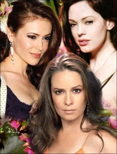 Qui a dit :   L'ennui, c'est que dans la famille on est souvent bless  ?