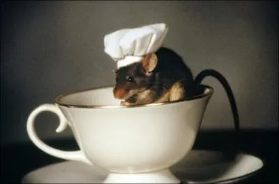 En anglais, souris se dit...